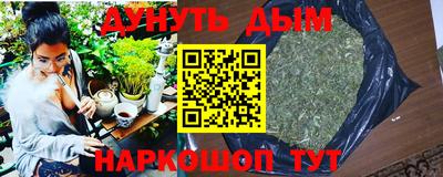 стаф Славгород