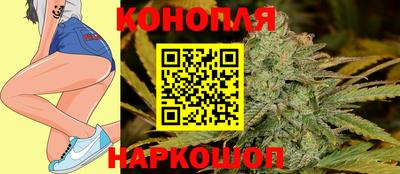стаф Славгород