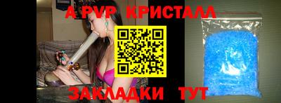 стаф Славгород