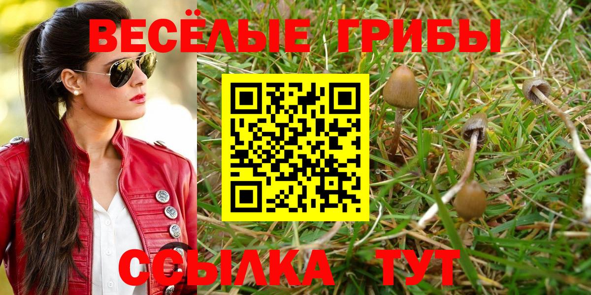 Ростов Великий  цена   Галлюциногенные грибы мухоморы  Вход с VPN  Псилоцибиновые грибы MAGIC MUSHROOMS 